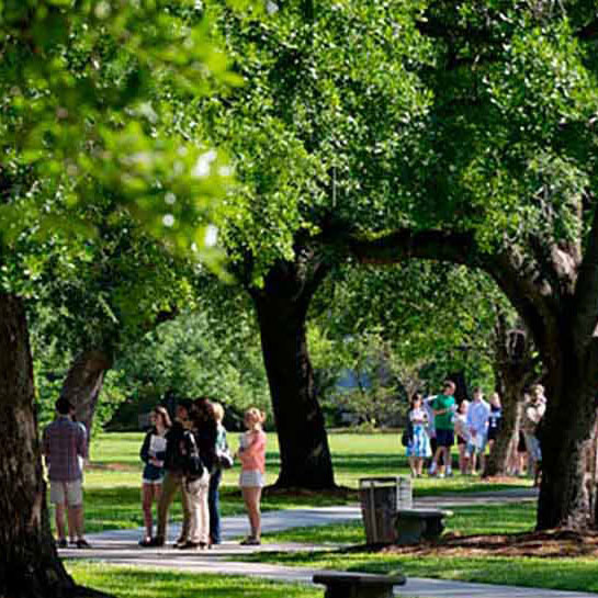 Online Bachelor of Interdisciplinary Studies
